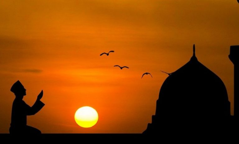 Bisnis Usaha Jual Burung Beo Anakan