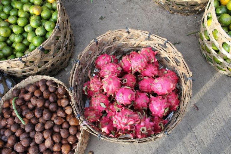 Rasakan Khasiat Buah Naga Saat Dikonsumsi Secara Rutin